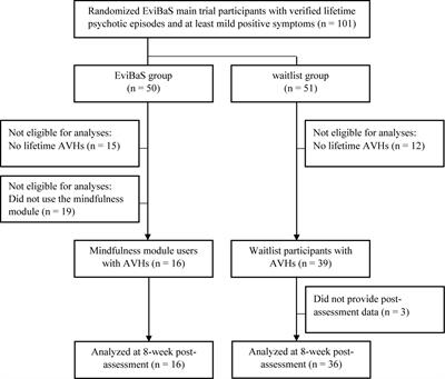 Mindfulness Mediates the Effect of a Psychological Online Intervention for Psychosis on Self-Reported Hallucinations: A Secondary Analysis of Voice Hearers From the EviBaS Trial